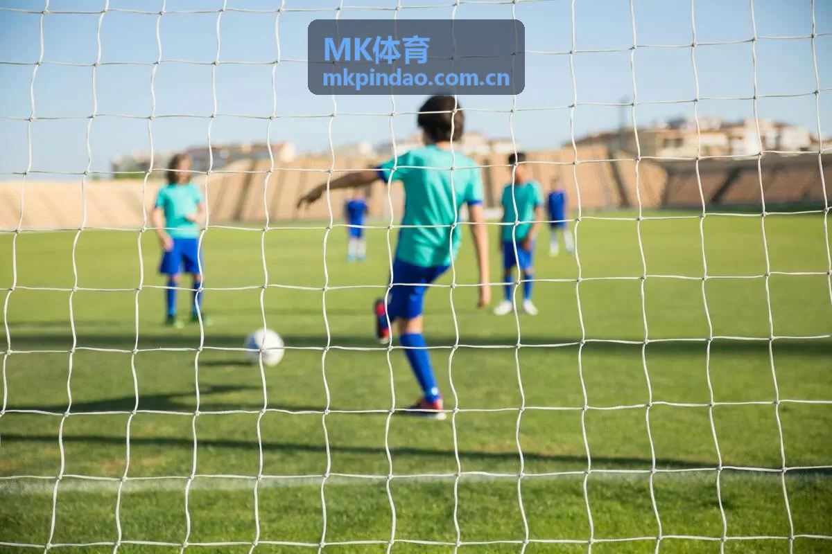 MK体育高端生活 - 高端健康管理理念